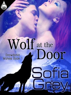 wolfatthedoor - final cover - small