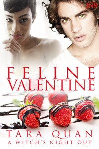 Cover_FelineValentine_TaraQuan