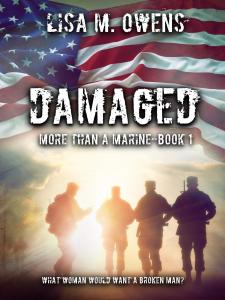 Damaged Ebook Cover