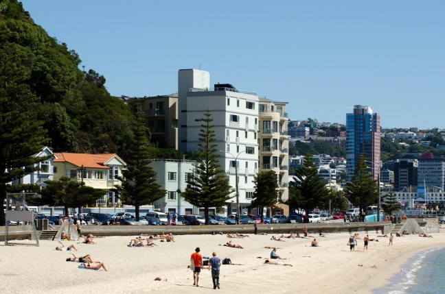 Wellington Cityscape - Oriental Bay